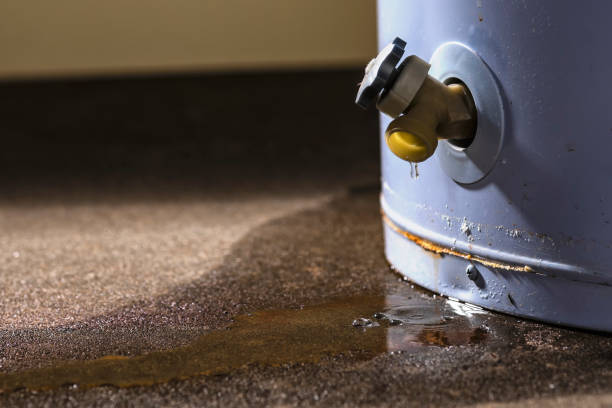 Best Flood damage cleanup  in Mission Hills, CA