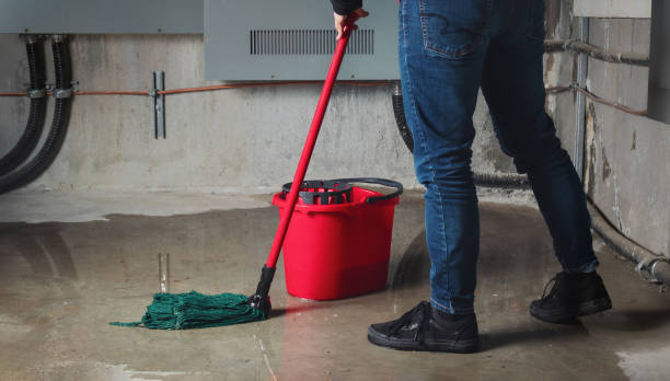 Best Water damage mitigation services  in Mission Hills, CA