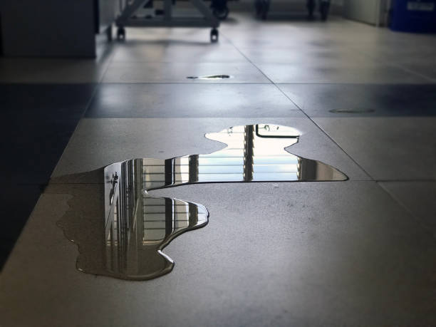 Best 24/7 water damage repair  in Mission Hills, CA