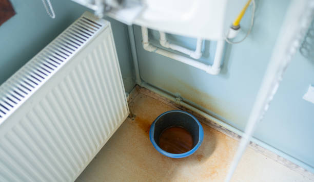 Best Mold removal after water damage  in Mission Hills, CA