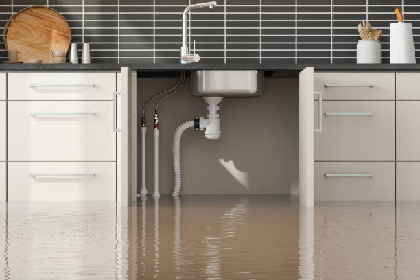 Best Water damage restoration mold remediation  in Mission Hills, CA