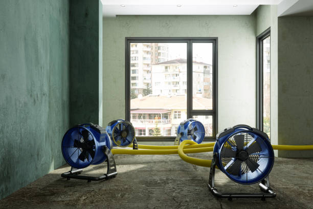 Best 24-hour water damage restoration  in Mission Hills, CA